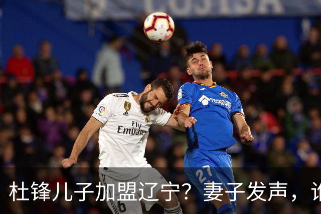 杜锋儿子加盟辽宁？妻子发声，谁注意妻子去向，计划曝光